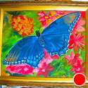 Red spotted purple butterfly