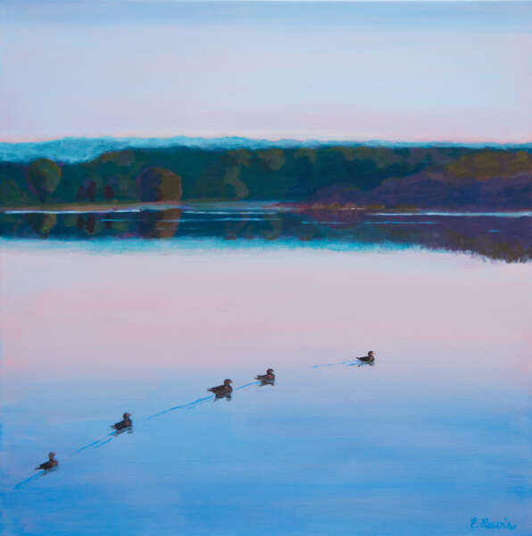 Ducks on Lake Gertrude