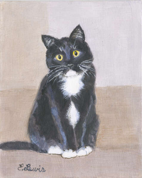 Cute Black and White Kitty