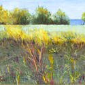 Walk by the Lake