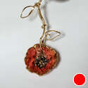 Poppy