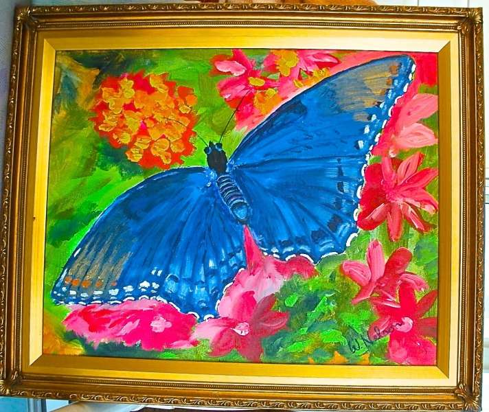 Red spotted purple butterfly