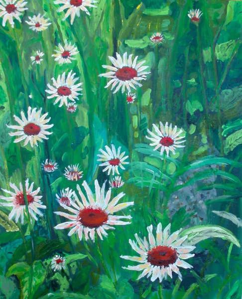 Daisies