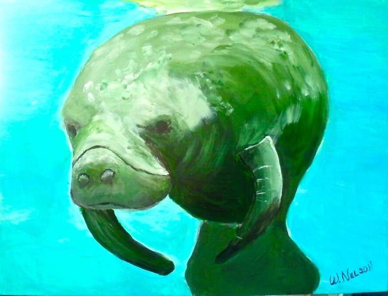 Manatee *