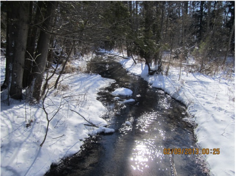 Dunham Lake Creek