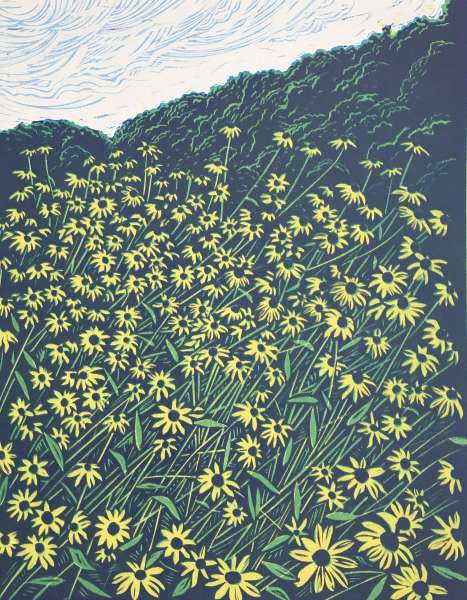 Carolina Susans