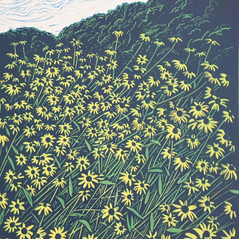 Carolina Susans